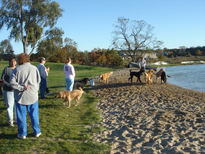 Dog owners and dogs in Meadow Run Park Pond