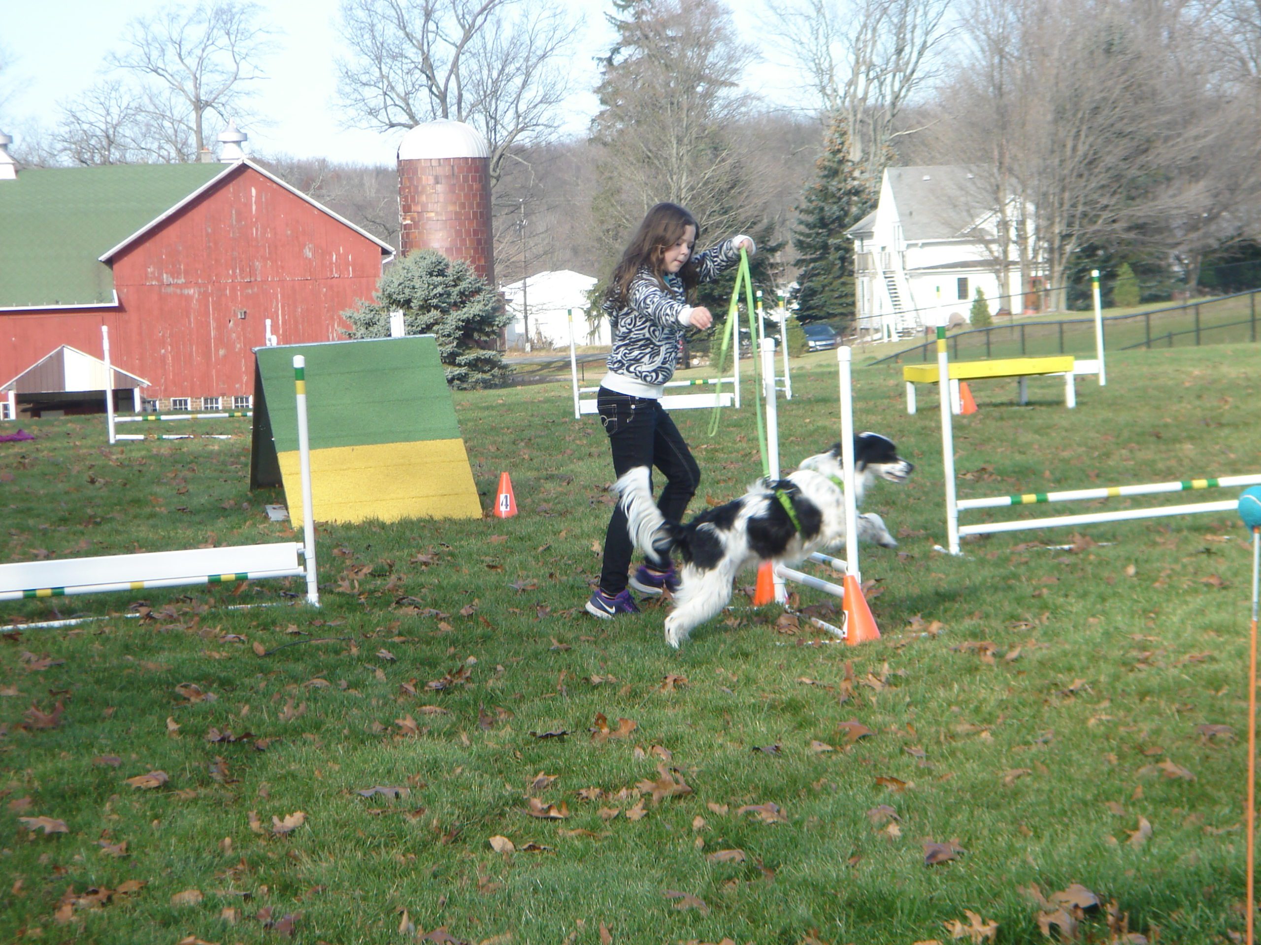 A Dog and Trainor practicing agility courses at the dog park
